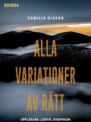 cover image of Alla variationer av rätt